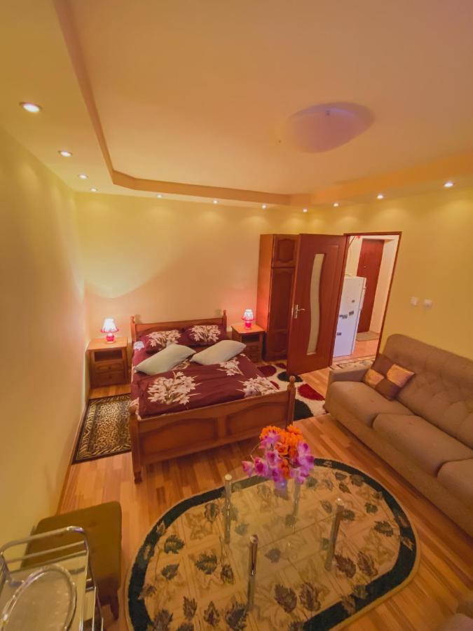 Apartament Cristian Geoagiu Băi Zewnętrze zdjęcie