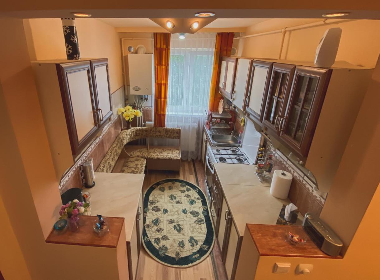 Apartament Cristian Geoagiu Băi Zewnętrze zdjęcie