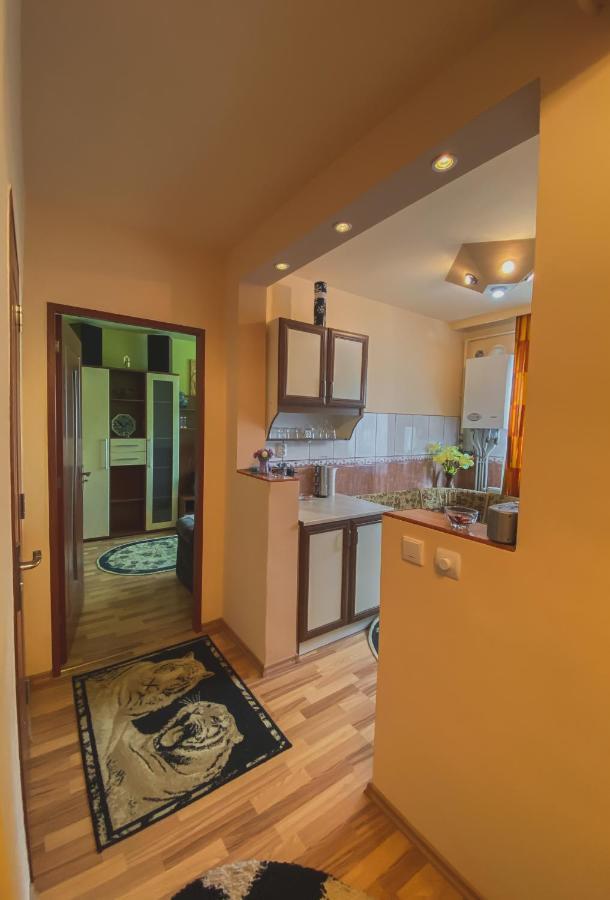 Apartament Cristian Geoagiu Băi Zewnętrze zdjęcie