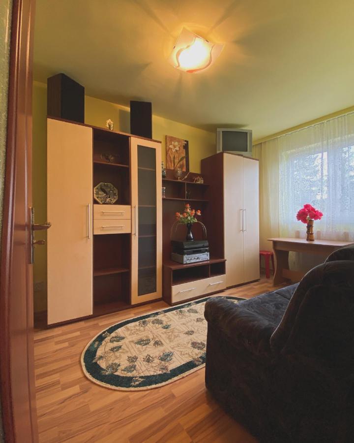 Apartament Cristian Geoagiu Băi Zewnętrze zdjęcie
