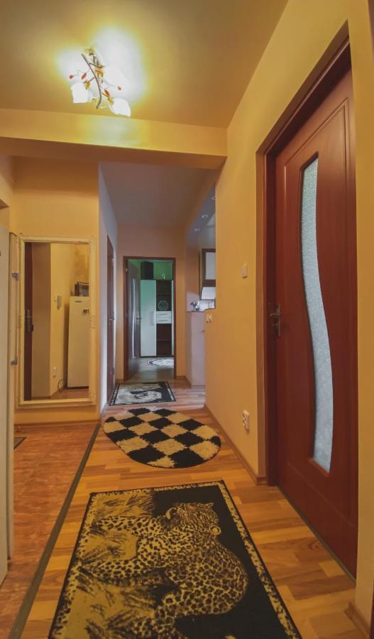 Apartament Cristian Geoagiu Băi Zewnętrze zdjęcie